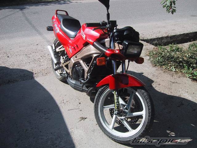 Photo 49987