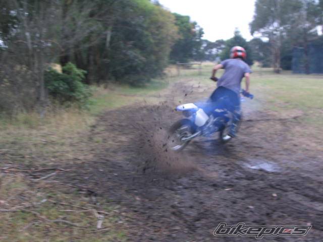 Photo 499886