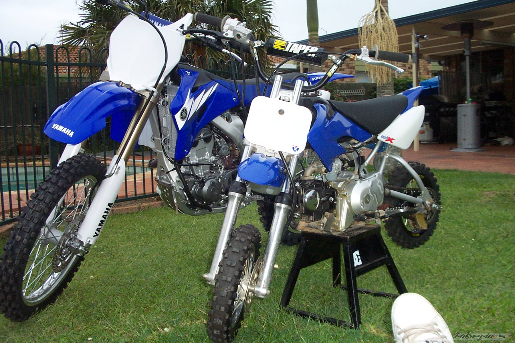 Photo 499893