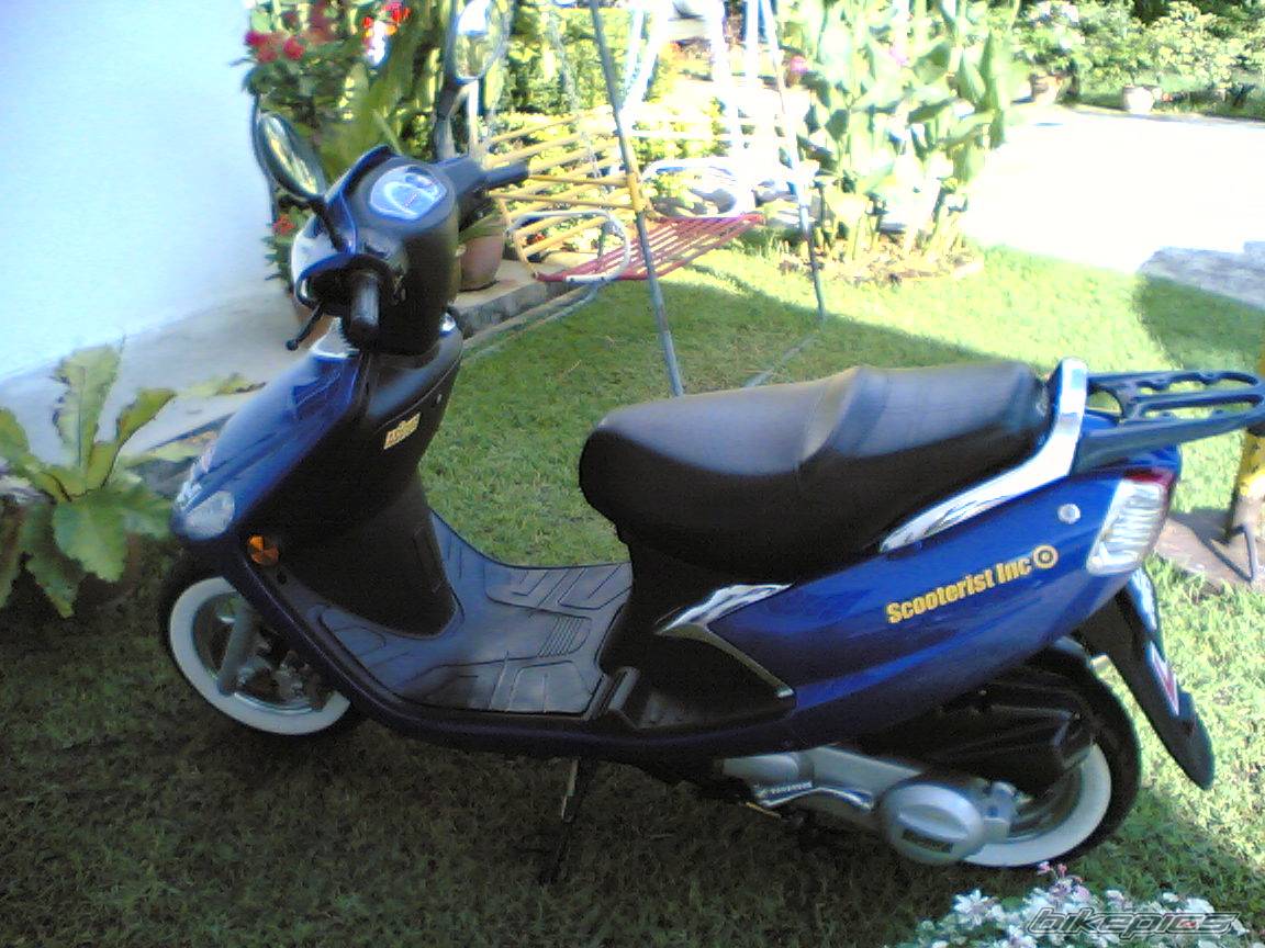 Photo 499894