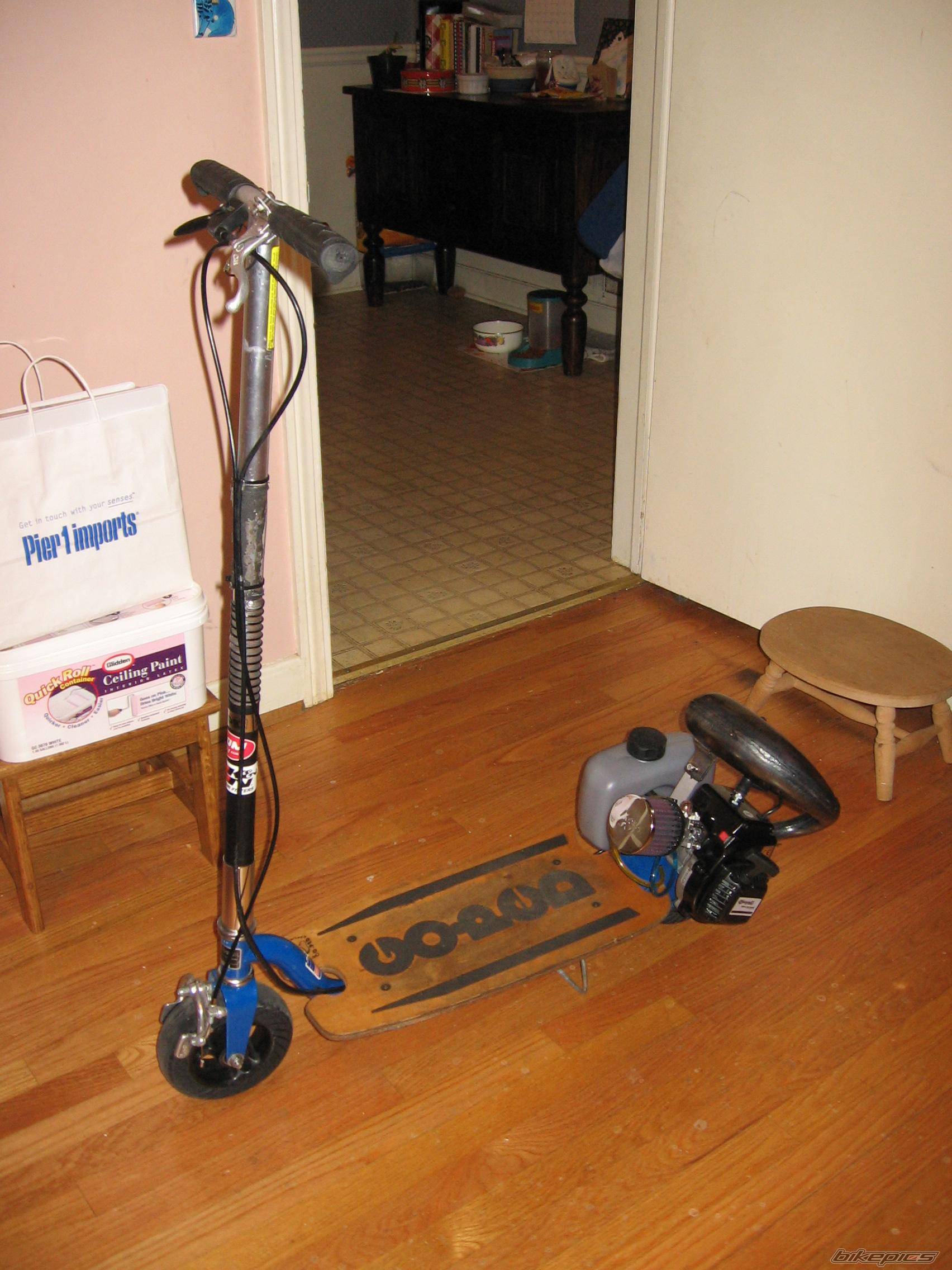 Photo 499905