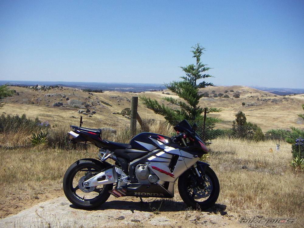 Bike Photo 499919