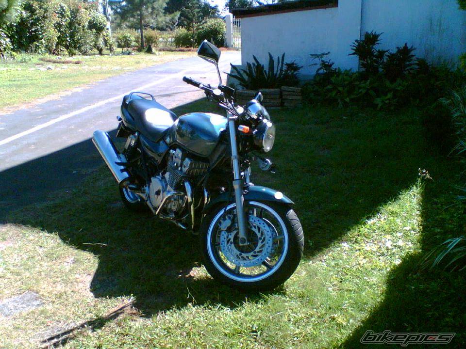 Bike Photo 499929