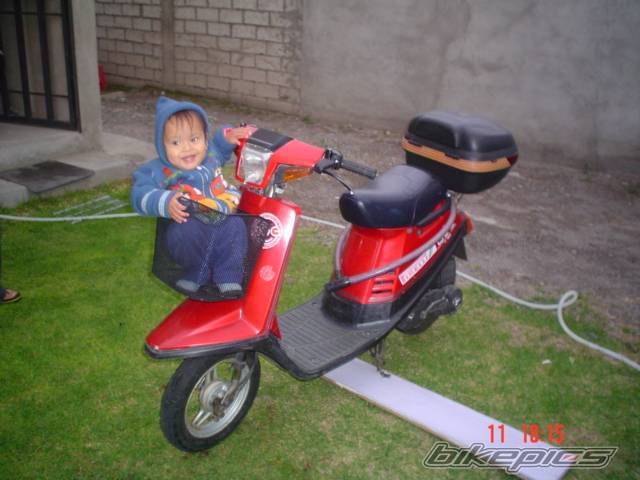 Photo 499931