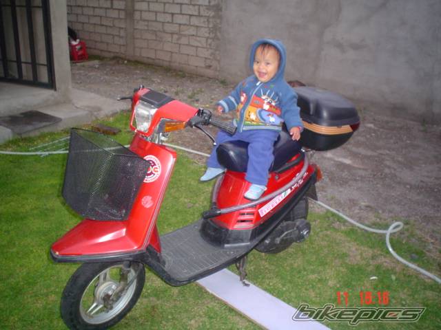 Photo 499932