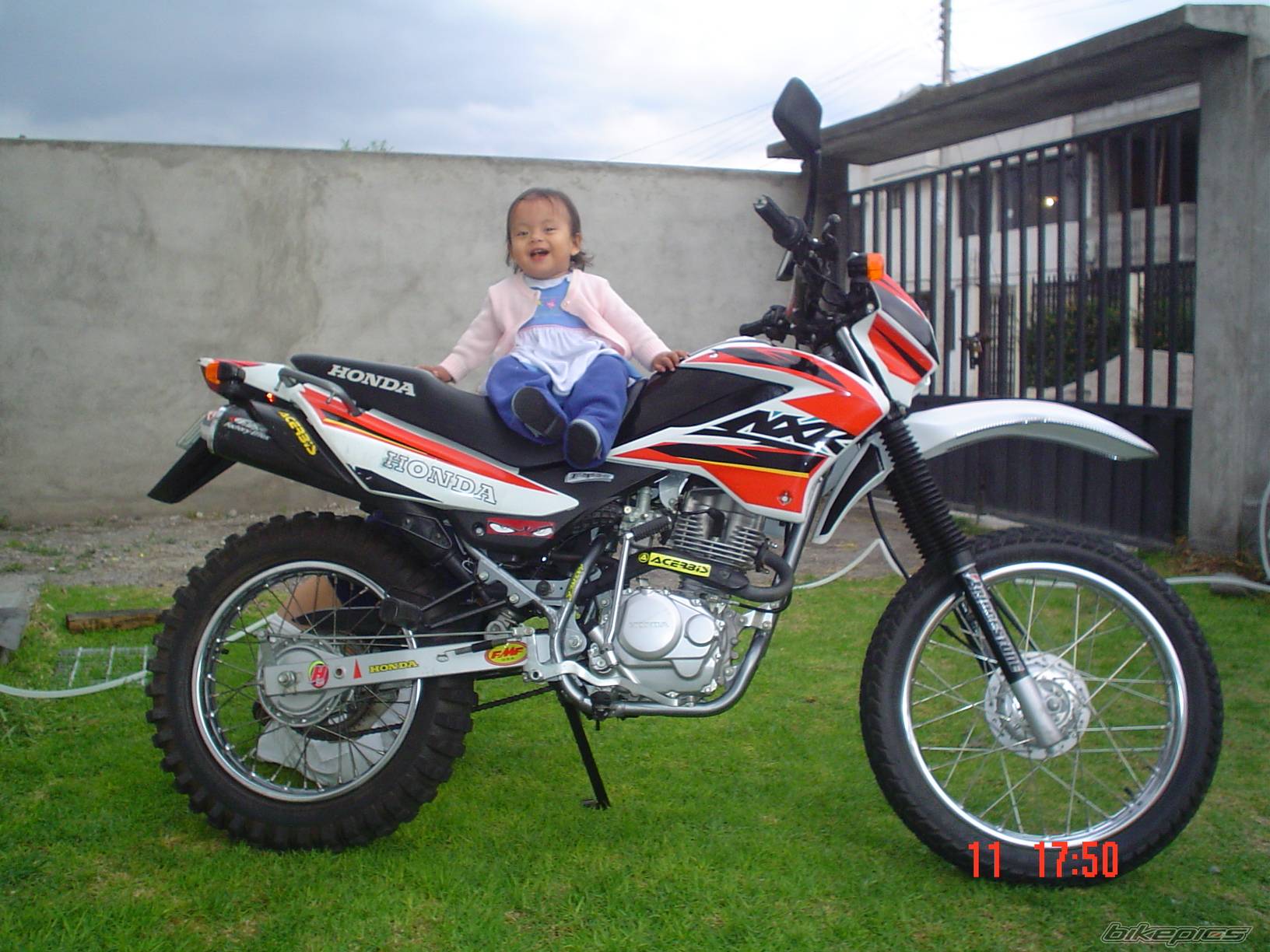 Photo 499938
