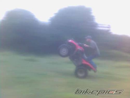 Photo 499946