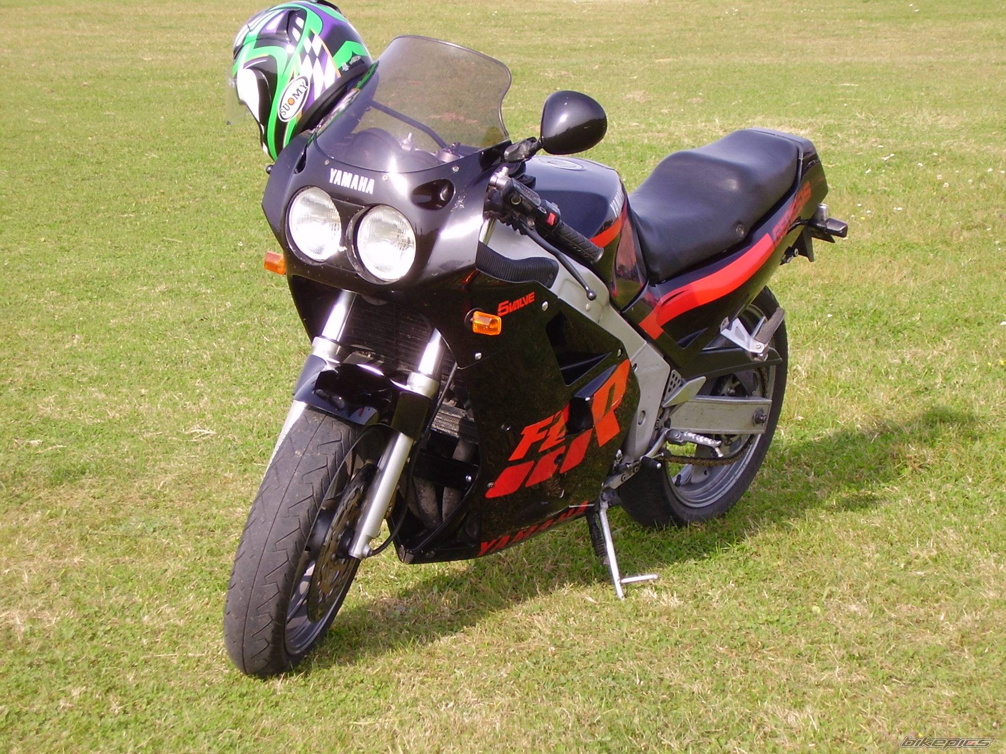 Photo 499949