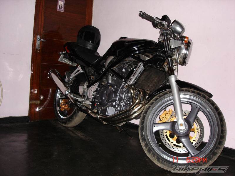 Photo 499965