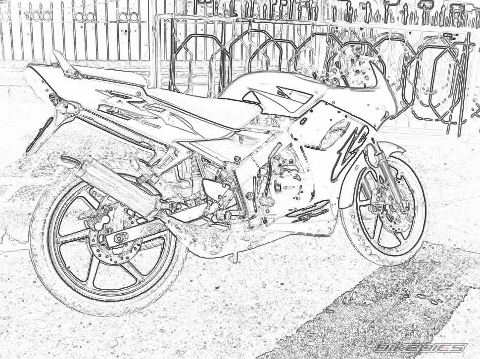 Photo 499968