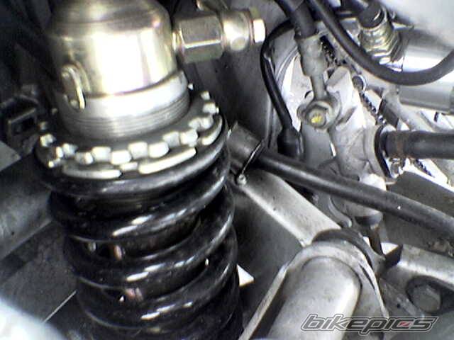 Photo 500073