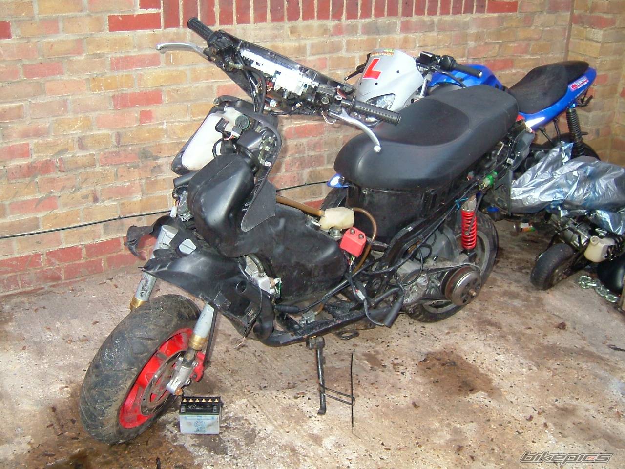 Photo 500115