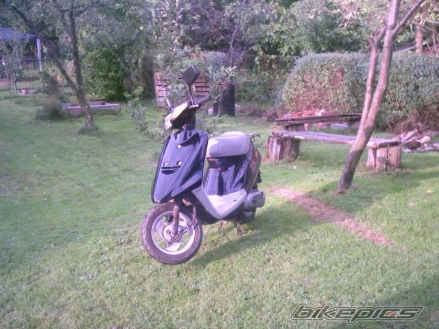 Photo 500224