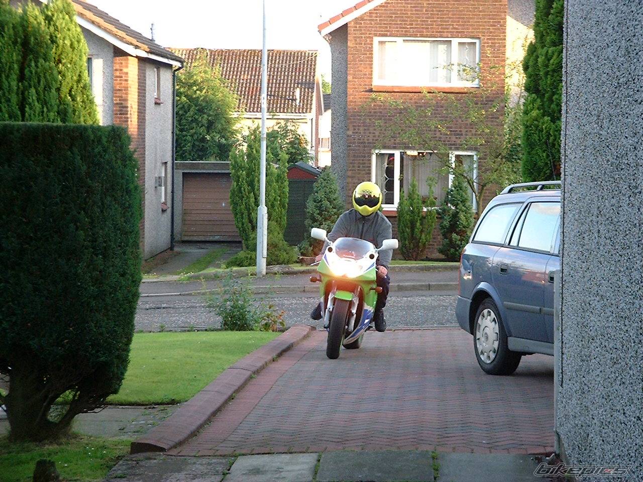 Photo 500256