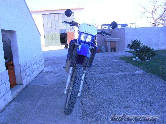 Photo 500578