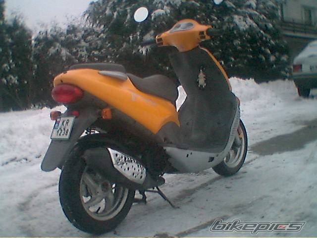 Photo 501269