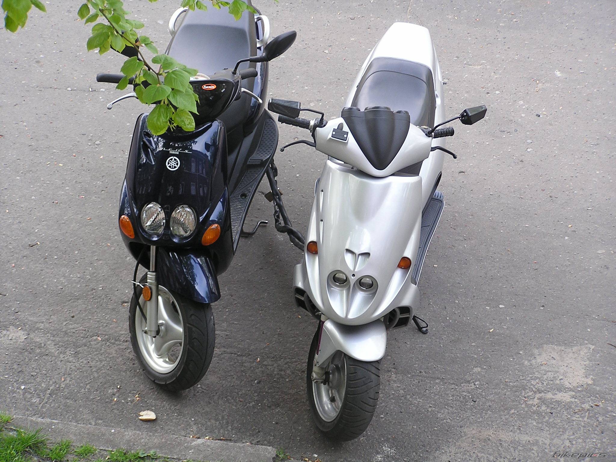 Bike Photo 501298