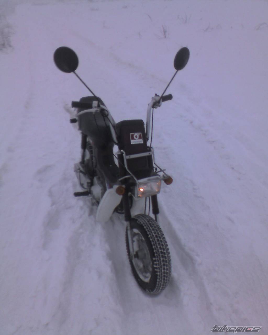 Photo 501337