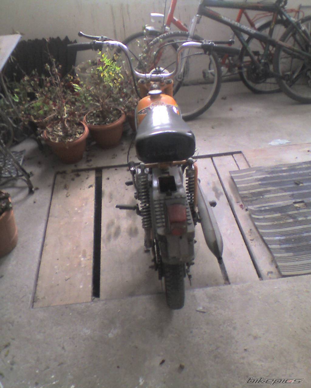 Photo 501353