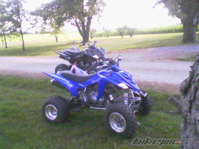 Photo 501729