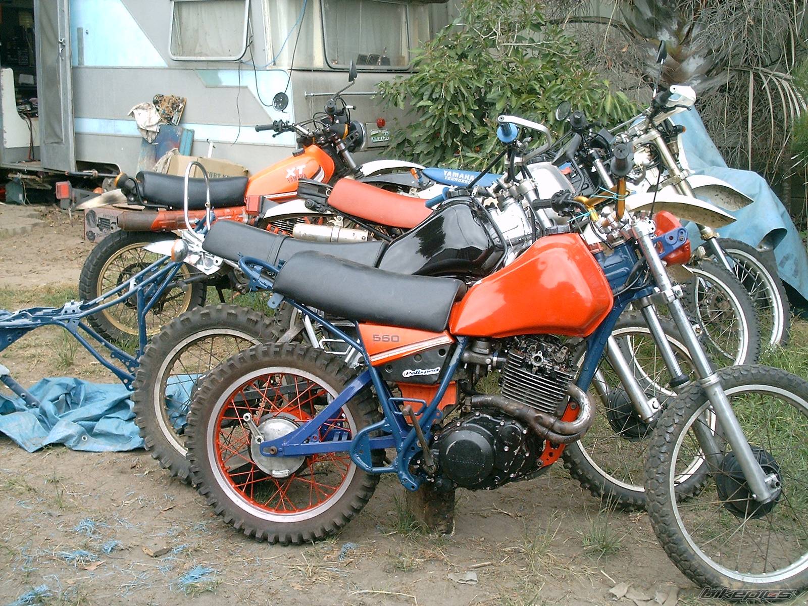 Photo 501823