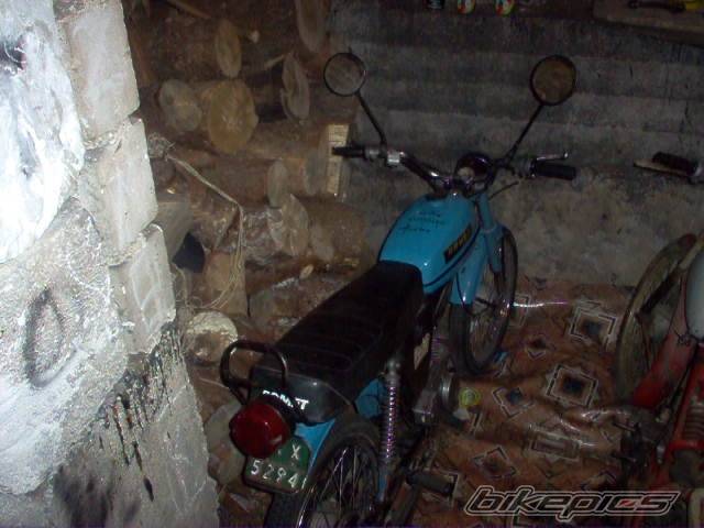 Photo 501902