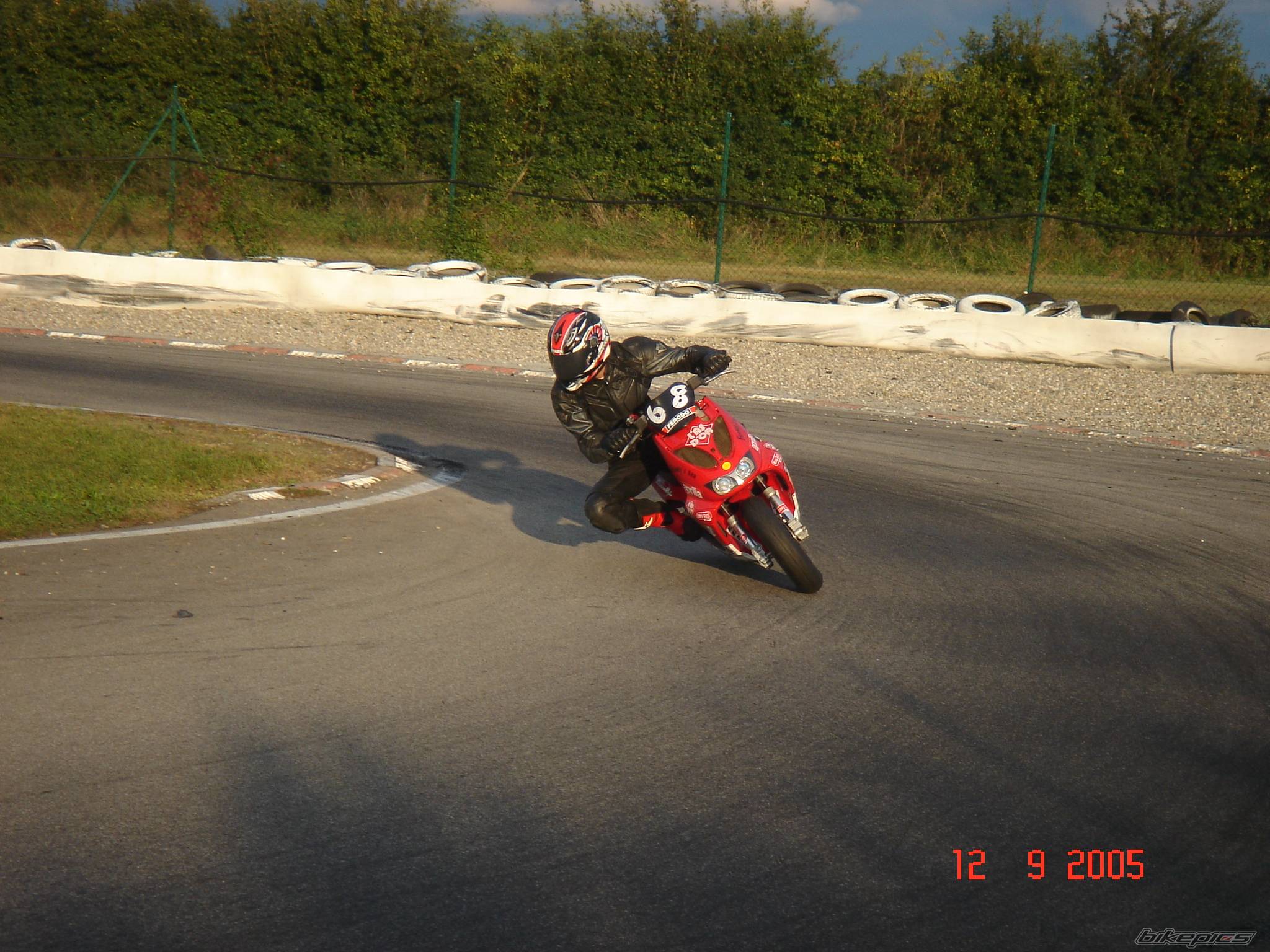Photo 501941