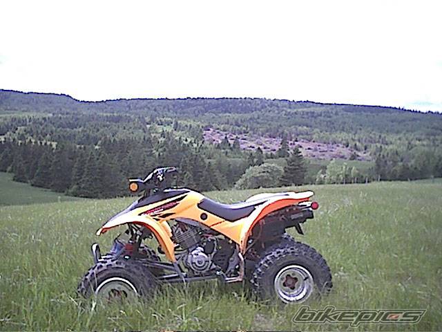 Photo 50212