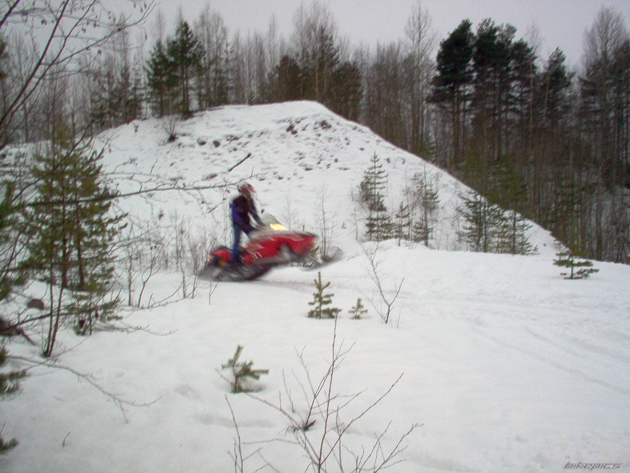 Photo 502270