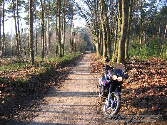 Bike Photo 502348