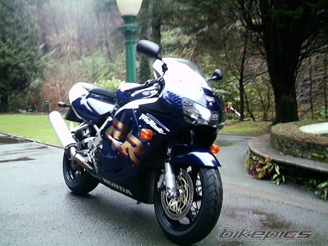 Photo 502687