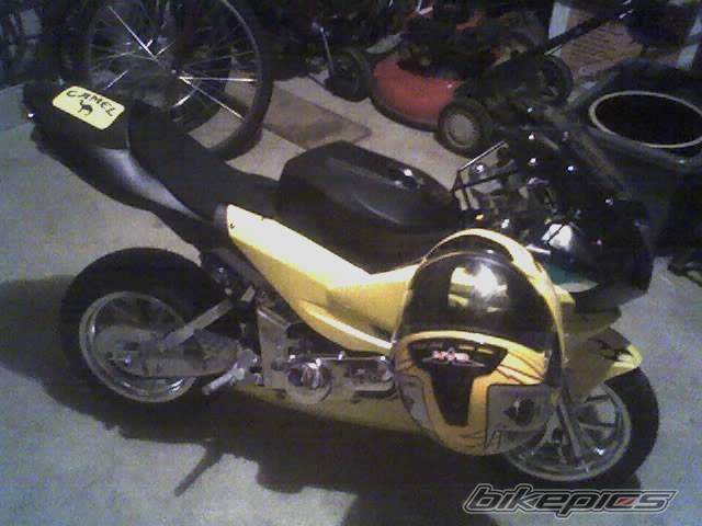 Photo 502969