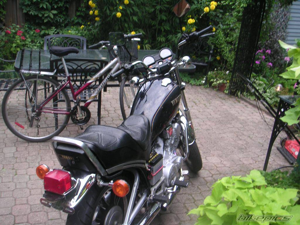 Photo 503016