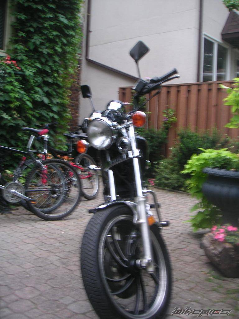 Photo 503017