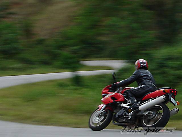 Photo 503020