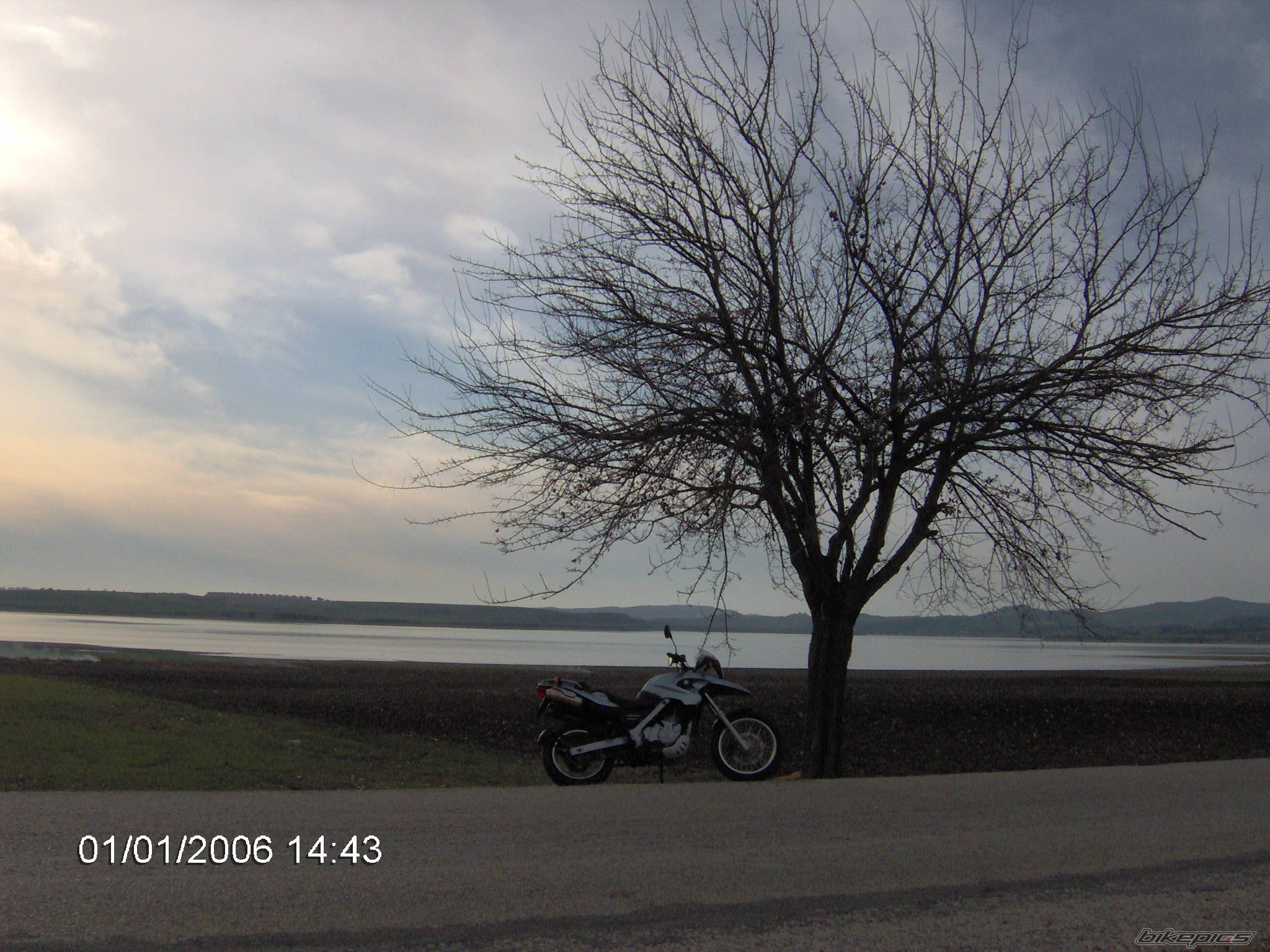 Photo 503054