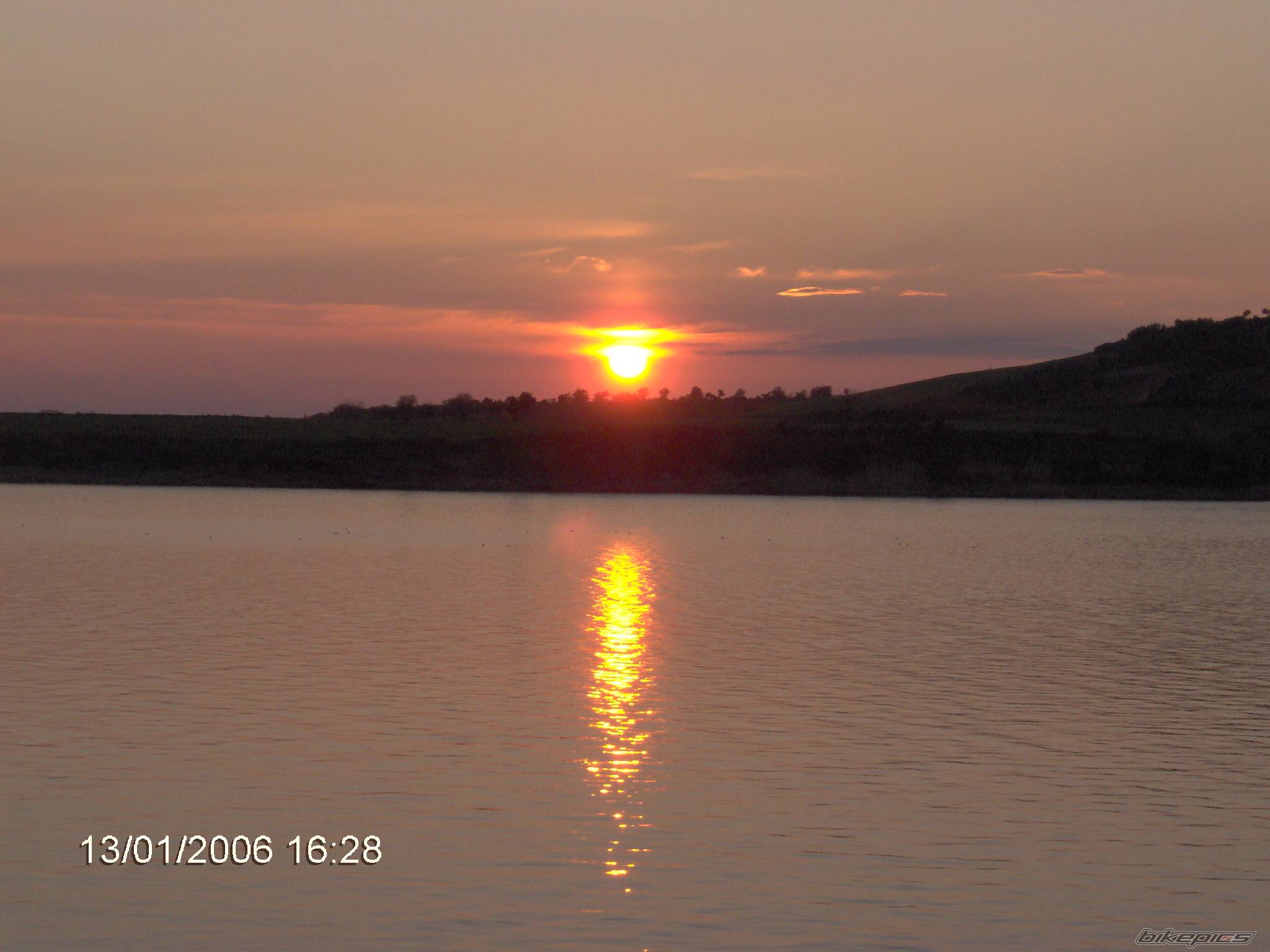 Photo 503071