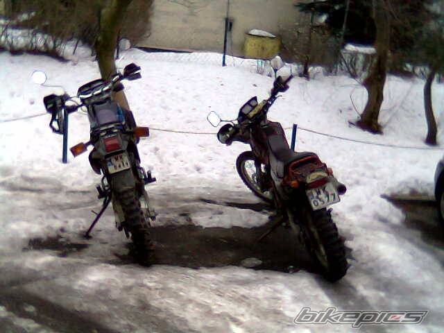 Bike Photo 503125