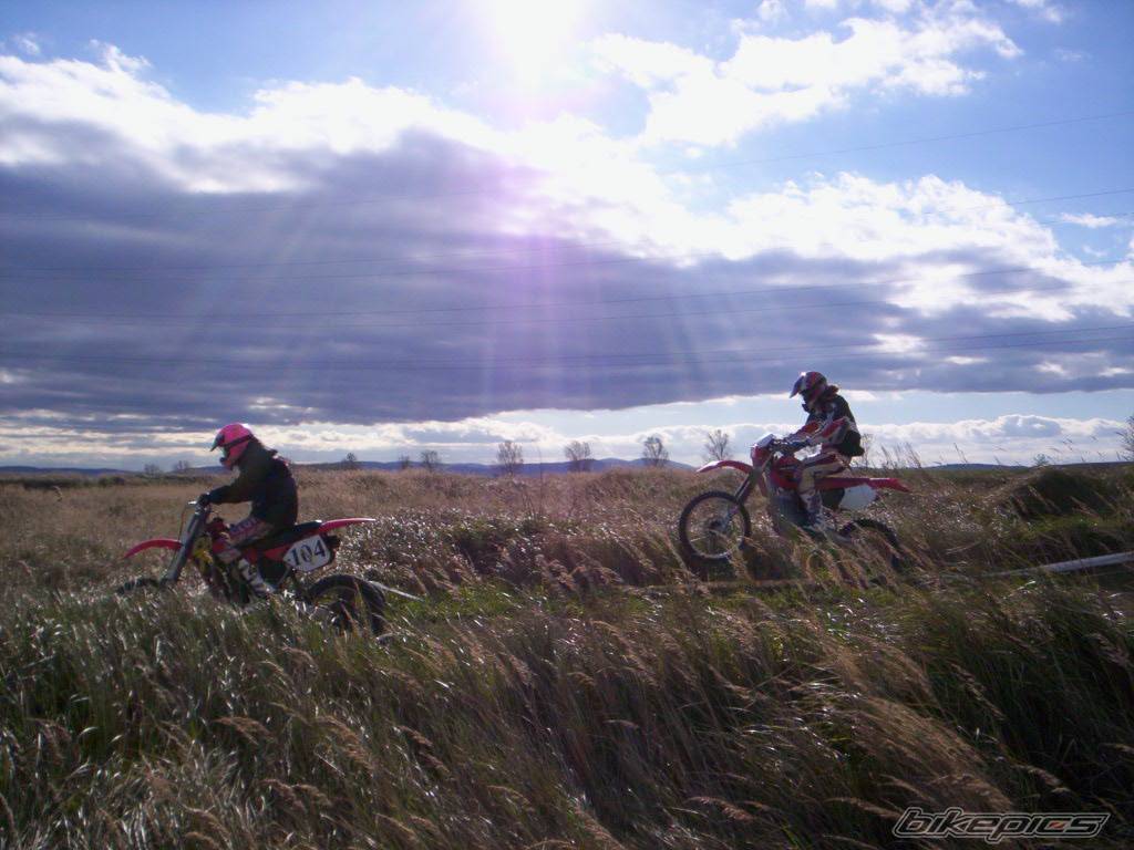 Photo 503229