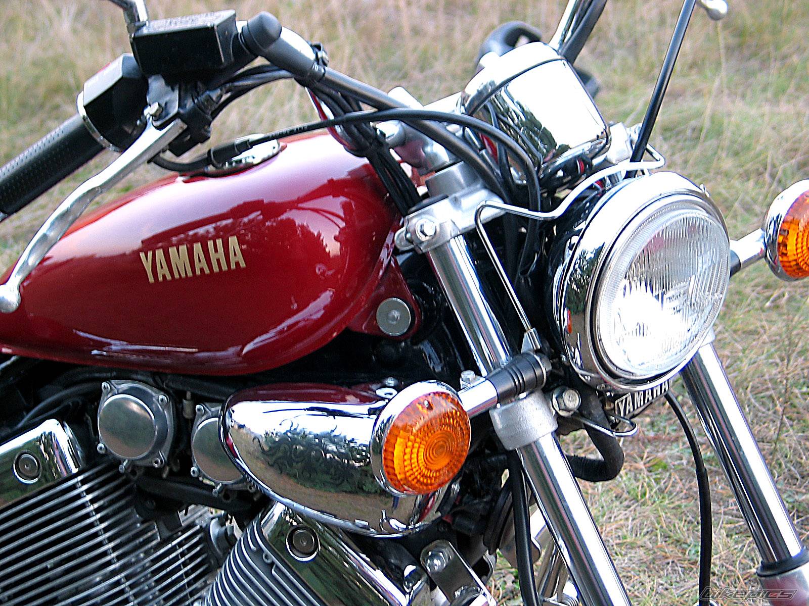 Bike Photo 503300