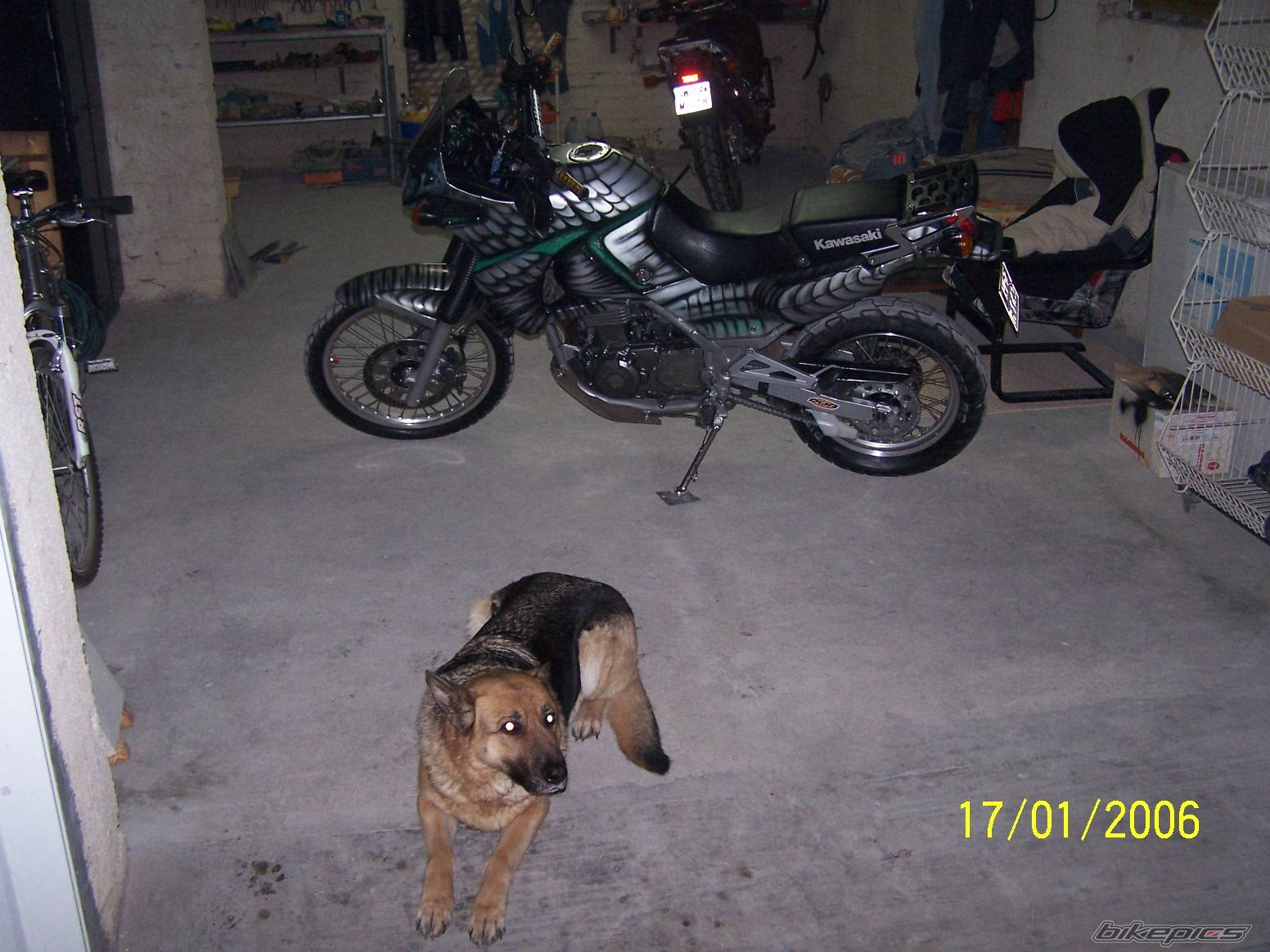 Bike Photo 503337