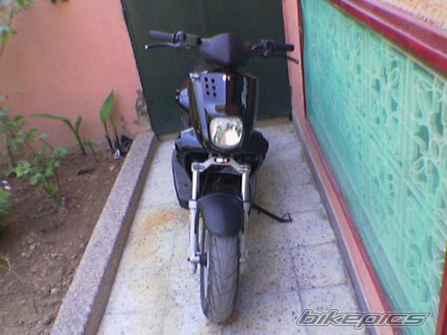 Photo 503520