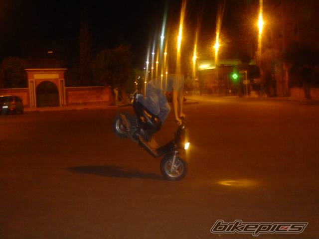 Photo 503523