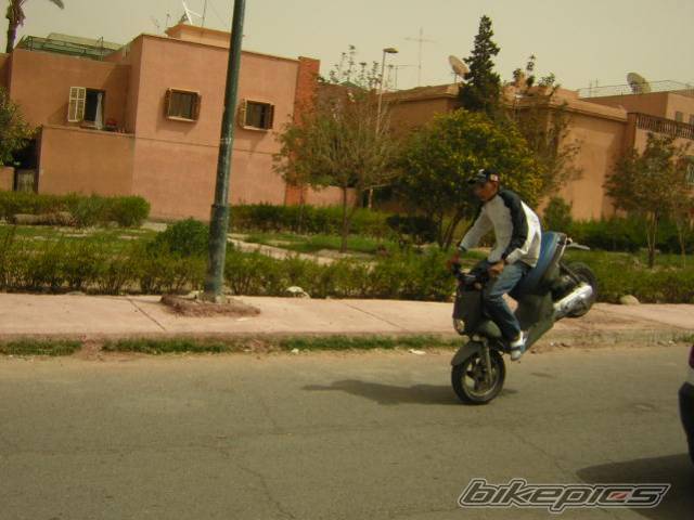 Photo 503539