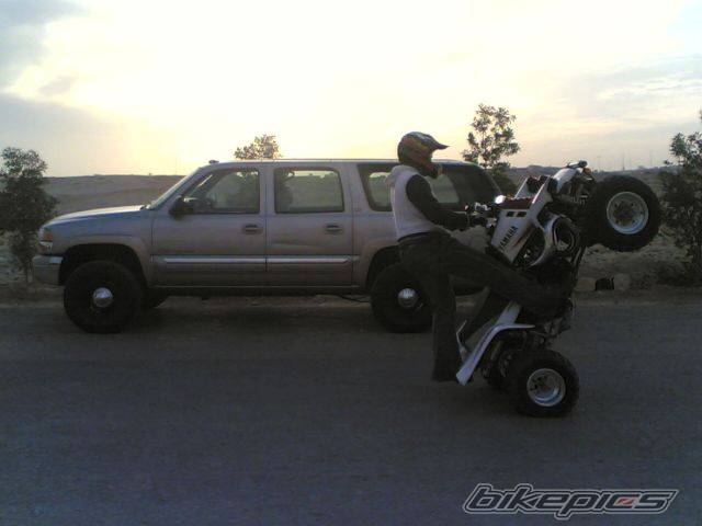 Photo 503545