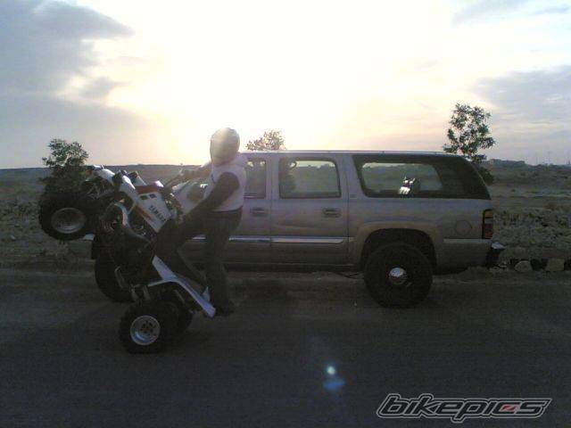 Photo 503547