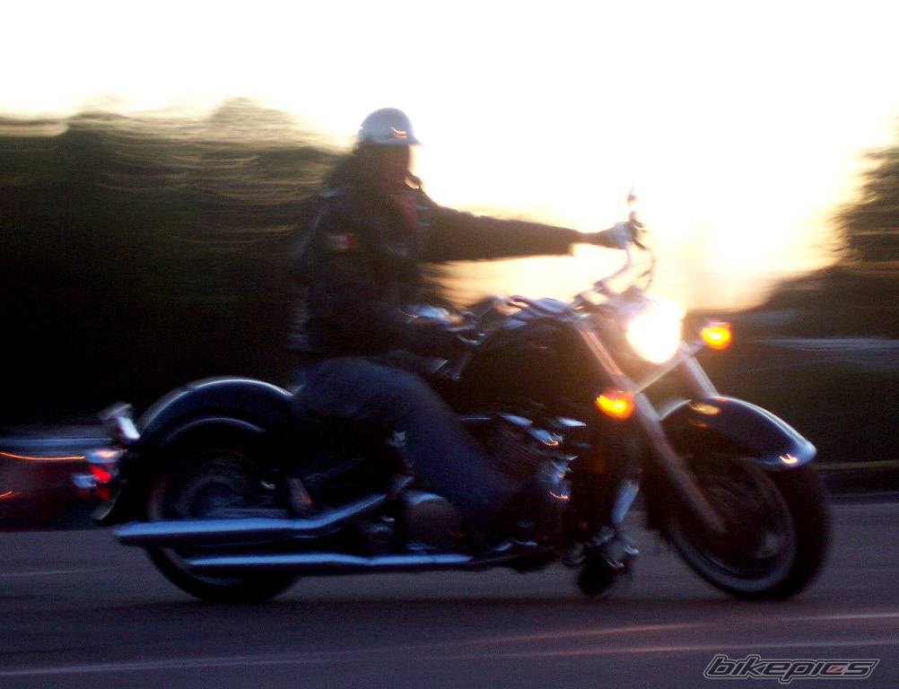 Photo 503568