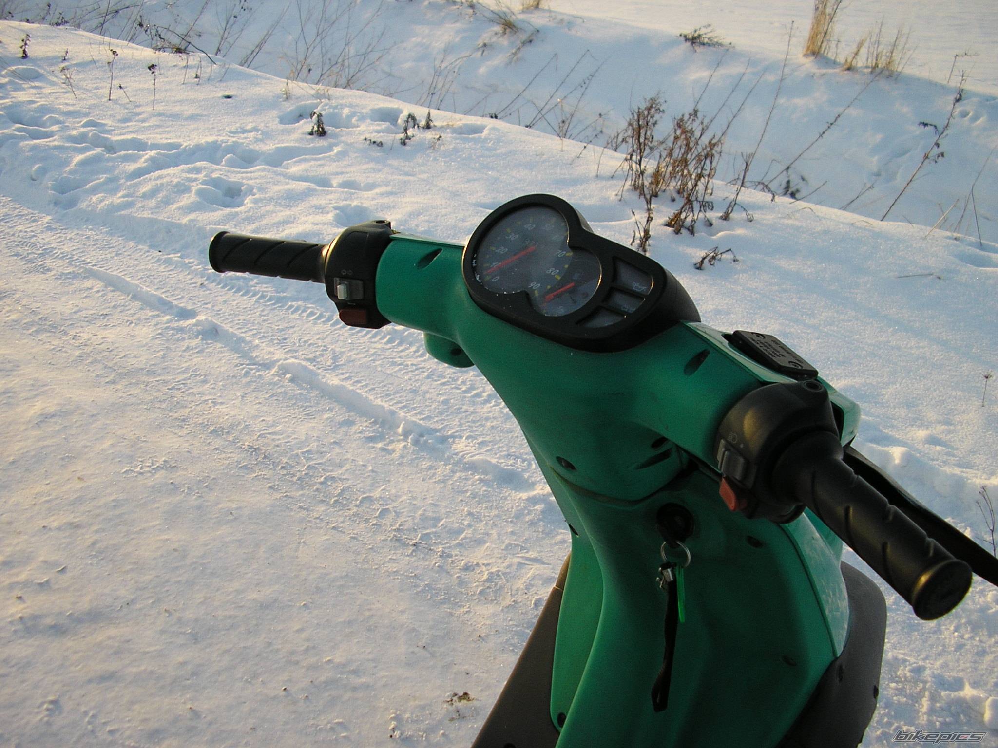 Photo 503707