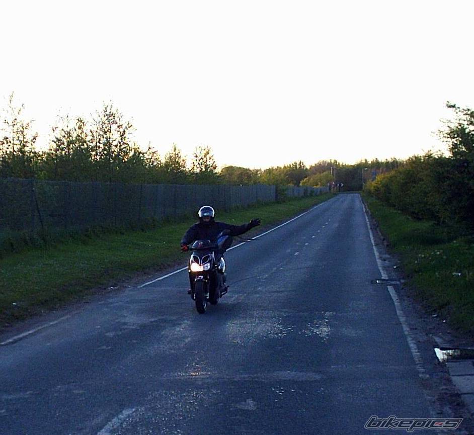 Photo 503805
