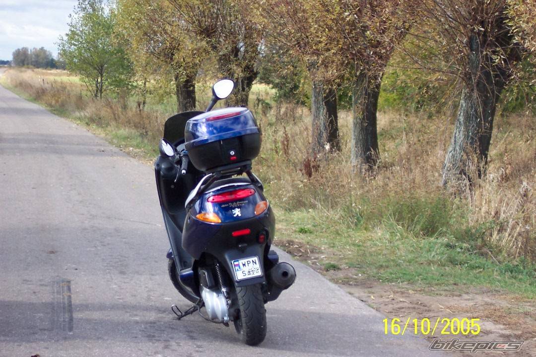 Photo 503823
